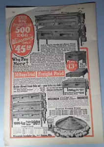 Original 1924 Wisconsin Incubator Company Zeitschriftenanzeige - Bild 1 von 1