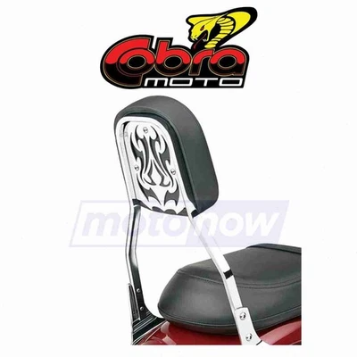 Cobra Standard Sissy Bar Insert for 2003-2008 Kawasaki VN1600A Vulcan 1600 oj Foto 1 de 4