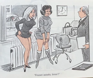 Vintage Harry's Gift 1970 Pocket Calendar Risqué Cartoons DIOM Publishing German - Picture 1 of 10