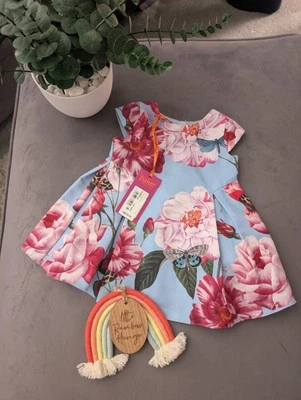 New Ted Baker Baby Girls Roses  Magical Occasion Dress Floaty 3-6m Gift Spring - Image 1 of 4