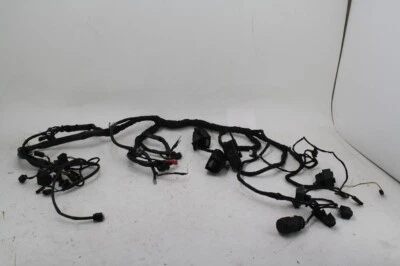 BMW F800GT 2013 2014 2015 2016 CABLEADO PRINCIPAL ARNÉS COMPLETO Foto 1 de 4