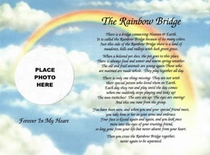 In Memory of Your Pet .. The Rainbow Bridge Memorial Poem Gift for Loss of a Dog - Picture 1 of 1