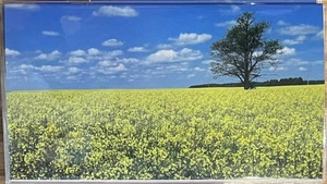 2026-2027 2-Jahres Datumsbuch, Geldbeutel/Taschenkalender, Planer - Blumenfeld - Bild 1 von 3