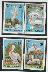 BIRDS- Romania,pelican,SC.#3232-5, MNH, Complete set of 4, 1984 - Picture 1 of 1