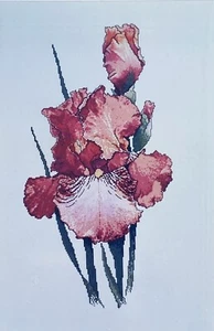 Silver Lining SUMMER SUNSHINE Counted Cross Stitch Pattern Marc Saastad Iris - Picture 1 of 6