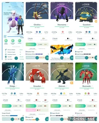 Pokemon Go Iv22|Mewtwo Zekrom Groudon Guzzlord Giratina Dialga Necrozma Kyogre - Image 1 of 3