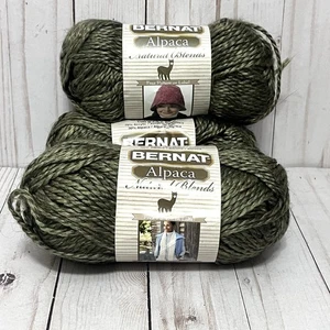 BERNAT ALPACA NATURAL BLENDS Alpaca Yarn Color Fern Lot of 3 Skeins - Picture 1 of 5