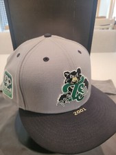 TENNESSEE SMOKIES HAT CAP NEW ERA 7 5/8 LIDS 59FIFTY FITTED HOMETOWN COLLECTION