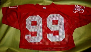 Wisconsin Badgers BIKE Football Half Net Jersey - VINTAGE USED SIZE S-M 34 -40 - Picture 1 of 5