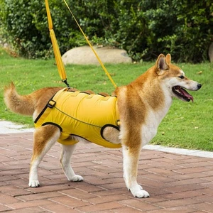 Pet Dogs Mobility Aids Support Sling For Back Legs Hip Lifting Harness Brace - Picture 1 of 14