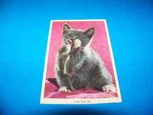 Cat Postcard "I Can Lick 'em" Vintage Postcard - Picture 1 of 2
