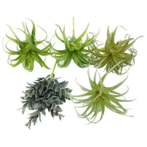 POANTA 5 Pack Assorted Artificial Succulents Air Plants Set Unpotted Realisti... - Picture 1 of 7