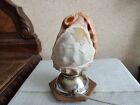 Antique Pink Conch Shell Italian Cameo Table Lamp Chariot Of Aurora Accent