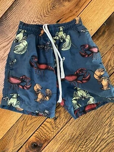 Boys Body Glove Lined Swim Trunks Sz S (4) Lobster - Picture 1 of 2