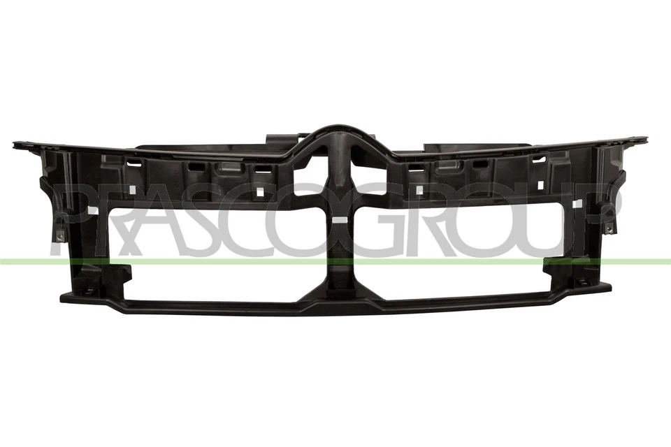 Rejilla De Radiador CI4292011 PRASCO Para CITROËN - Imagen 1 de 1