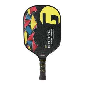 Clearance - Gamma Shard Textured Graphite / NeuCore Poly Core Pickleball Paddle - Picture 1 of 4