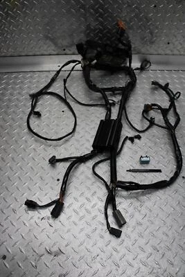 2003 Harley-Davidson Fatboy EFI FLSTFI CHICOTE DE FIOS DO MOTOR PRINCIPAL FIO DO MOTOR - Imagem 1 de 4