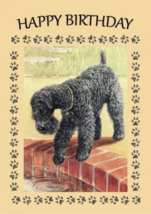 KERRY BLUE TERRIER DOG LOOKS IN POND BIRTHDAY GREETINGS NOTE CARD  - Picture 1 of 1