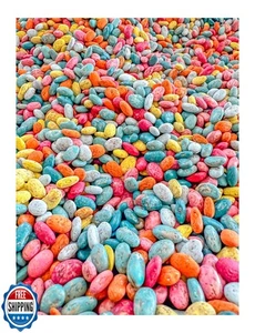 Summer Themed Sensory Beans - Colorful Sensory Bin Filler - 2 Cups - Picture 1 of 5