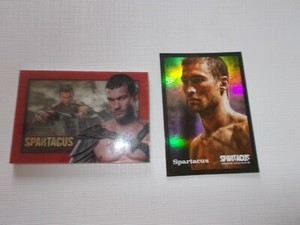 SPARTACUS BLOOD AND SAND MEMORY CARD Andy Whitfield + PROMOTION CARD