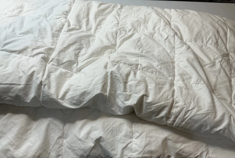 Edredón Plumón Pluma de Ganso Completo/Queen Glabon Ligero Foto 1 de 4