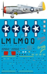 Calcomanía Robert Johnson 4033 Peddinghaus 1/24 P-47D-21 rayo ""Penrod and Sam - Imagen 1 de 1