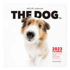 Calendrier THE DOG 2023 grande taille (Shetland Sheepdog)