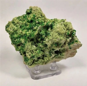 Chrome Grossular Garnet on Diopside, Jeffrey Mine, Val-des-Sources, Canada - Picture 1 of 6