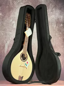 Apc Artist Mdl310 Rosewood Mandolin, with Case - Picture 1 of 7