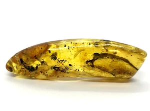 Amber Piece With Insect Inclusion Fossil Insects Natural Baltic Amber 13,5g 3126 - Picture 1 of 11