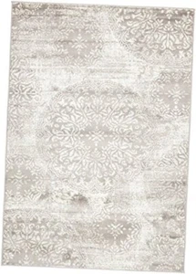 Sofia Collection Area Rug 4' 1" x 6' 1" Rectangle Rectangular Light Gray/Ivory - Picture 1 of 4