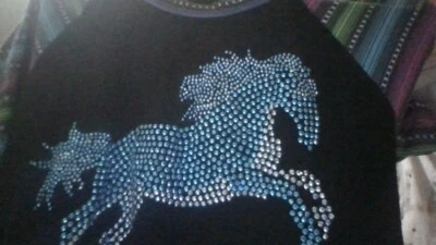 女牛仔五金水钻闪亮马! 衬衫尺寸 S (6) 彩色条纹 Slvs — 第 1/4 张图片