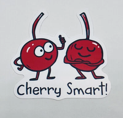 Cute Fruit Sticker “Cherry Smart!!” Inspirational Kids Journal Art Decal Tc1 - Image 1 of 2