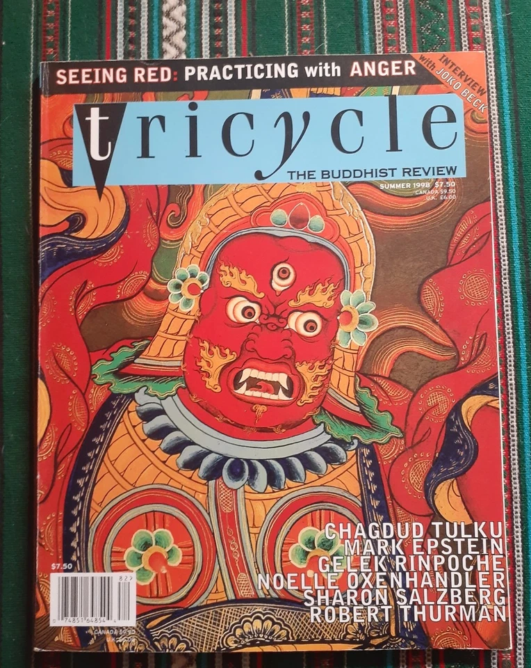 Tricycle Magazine No. 4 Spring 1998 The Buddhist Review Magazine Like New Used  - Image 1 of 1