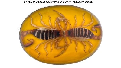 Real Scorpion 皮带扣西部金属牛仔 Hecho en 墨西哥复古男式女式 — 第 1/4 张图片