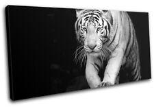 Wild Tiger White Siberian Bengal Animals SINGLE CANVAS WALL ART Picture Print