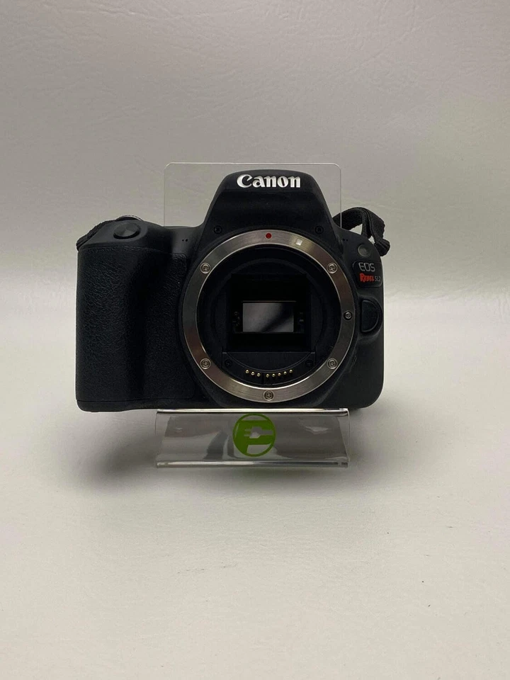 Canon EOS Rebel SL2 24,2 MP SLR digital Foto 1 de 1