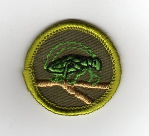 Insect Life Merit Badge, Type F Rolled Edge Khaki Twill (1961-68), Mint! - Picture 1 of 1