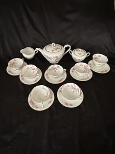 Tea/coffee pot, cups/saucers set by TIRSCHENREUTH in the Trellis Pattern - Picture 1 of 21