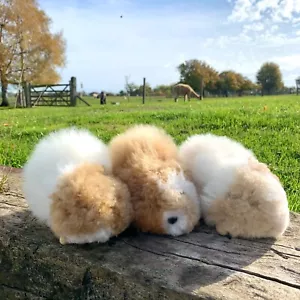 Alpaca Guinea Pig Soft Toy, Real Alpaca Fleece, Fur, Plush, Fluffy, Cuddly, Pet - Picture 1 of 11