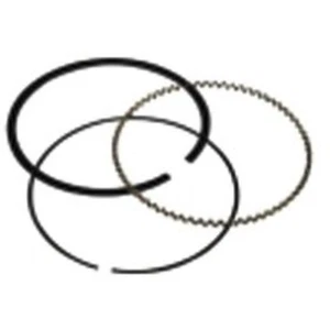 PR3121 DNJ Piston Ring Sets Set for Chevy Olds Chevrolet Equinox Pontiac Torrent - Bild 1 von 1