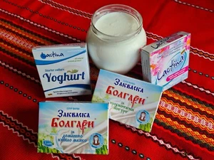 Sachets Bulgarian Yogurt Starter Culture Natural bio Greek style Yoghurt Home - Picture 1 of 10