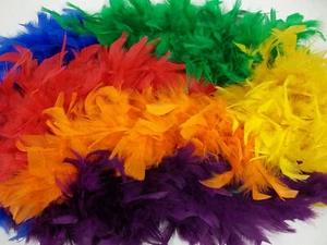 Déguisement arc-en-ciel section 120 gm chandelle plume boa - Photo 1/3
