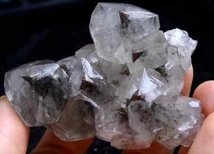 96gNatural Rare Benz Calcite &Pyrite Symbiotic Mineral Specimen /China - Picture 1 of 9