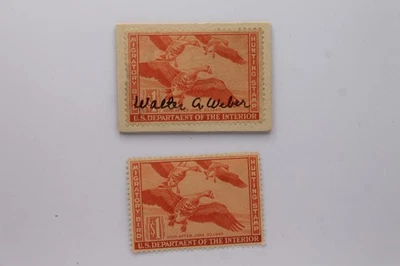 RW-11 - 1944 Federal Duck Stamp, Artist Signed + Stamp LH VF - Image 1 of 4