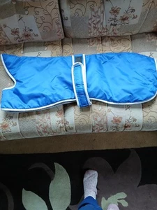 Greyhound/Lurcher/Saluki. Waterproof Padded Coat 28" - Picture 1 of 4