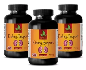 Horsetail Powder - KIDNEY SUPPORT 700mg - Fat Burner For Men 3B - Picture 1 of 6