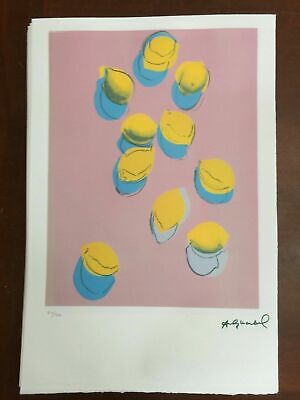 Andy Warhol Litografia 57 X 38 Arches Timbro Secco Israel Castelli AN051 • 99€