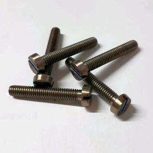 10 x Titan Schrauben / Titanium screws Grade 2 DIN 84 M4 x 25 - Picture 1 of 1