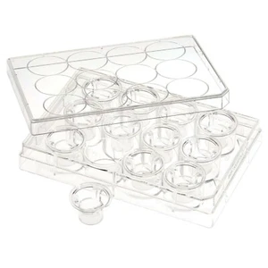 CELLTREAT Permeable Cell Cult. Insert, 12 Well, PC, 3.0um, 24/Cs, S, #230617 - Picture 1 of 2